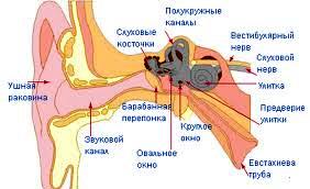 Заболевания уха