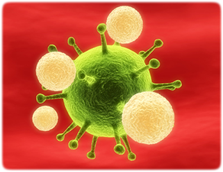 укрепление и восстановление иммунитета