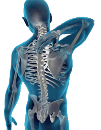 rehabilitation of the musculoskeletal system diseases