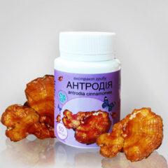 Антродия (красный камфорный гриб экстракт 40%) 60 капсул