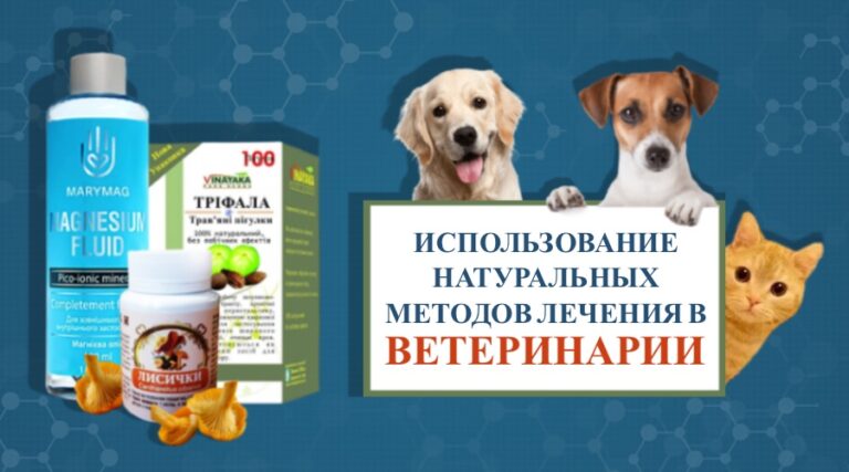 Использование натуральных методов лечения в ветеринарии