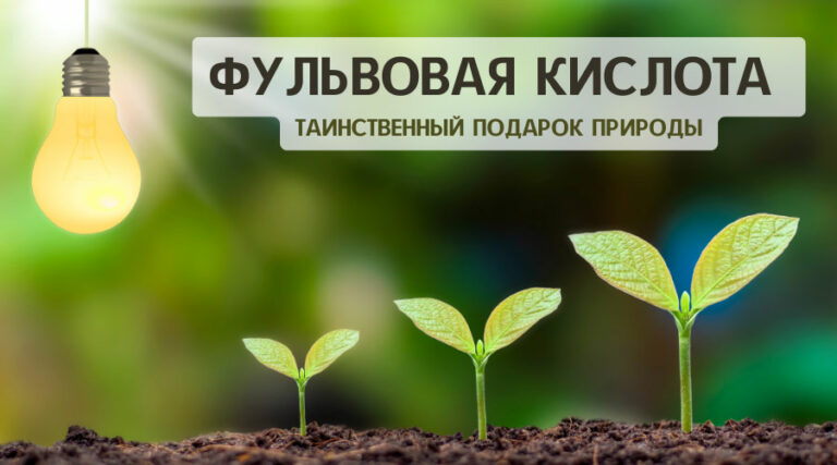 Фульвовая кислота – таинственный подарок природы